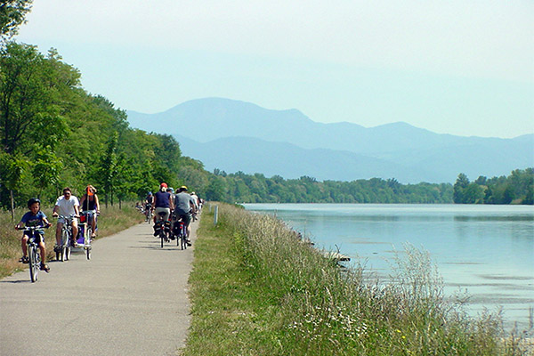 Radfahren am Rhein